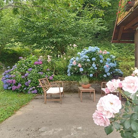 Holiday Home Vesna Brod na Kupi Exteriér fotografie