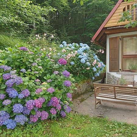 Holiday Home Vesna Brod na Kupi Exteriér fotografie
