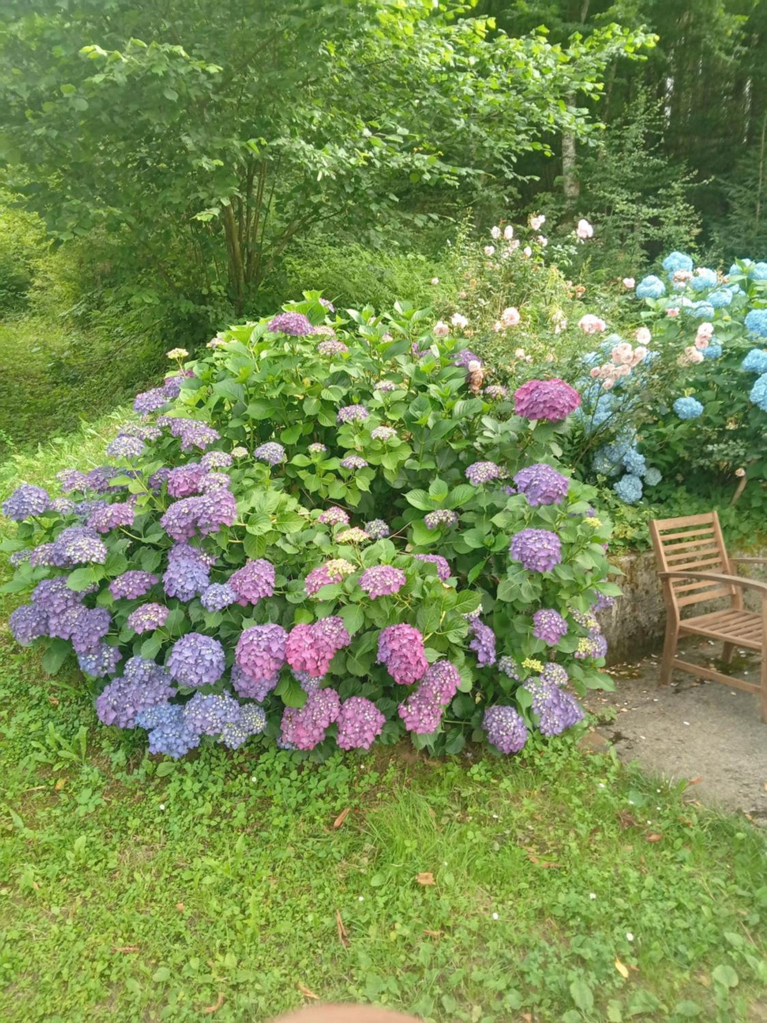 Holiday Home Vesna Brod na Kupi Exteriér fotografie