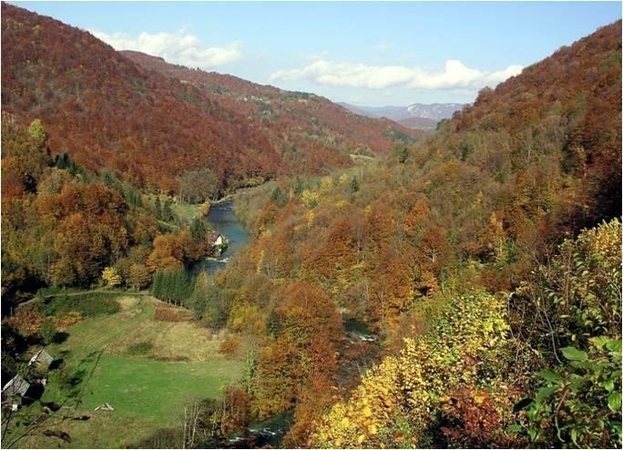 Holiday Home Vesna Brod na Kupi Exteriér fotografie