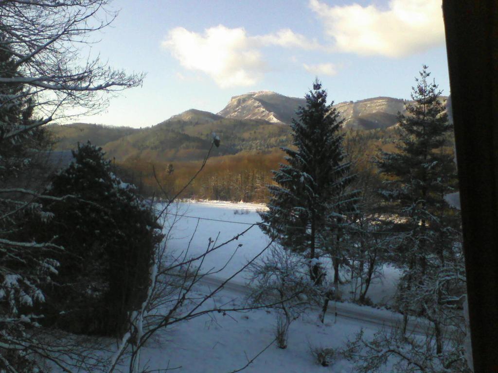 Holiday Home Vesna Brod na Kupi Exteriér fotografie